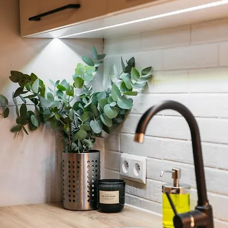 Sklodowskiej Ii - Loftaffair *